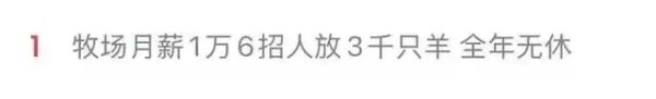 “月薪1.6万招放羊工”走红，老板最新发声：已筛选出两对夫妻