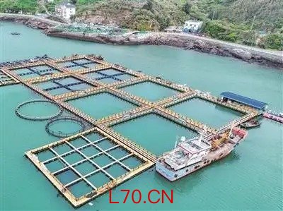 温产三文鱼“游”入市场首批2500至3000公斤
