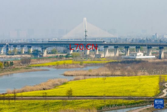 3月11日，一列高铁列车穿行在十八联圩生态湿地（无人机照片）。新华社记者 杜宇 摄
