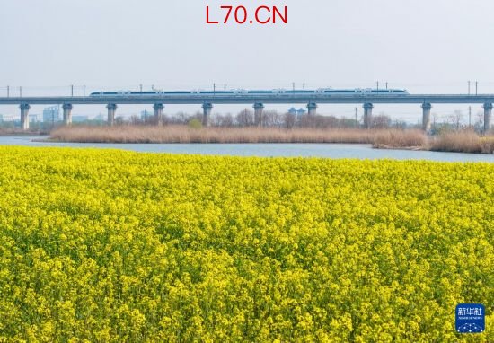3月11日配资合法吗，一列高铁列车穿行在十八联圩生态湿地（无人机照片）。新华社记者 杜宇 摄